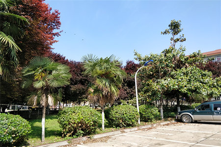 业主降价急售！拎包入住锦江城对面龙飞山城证齐